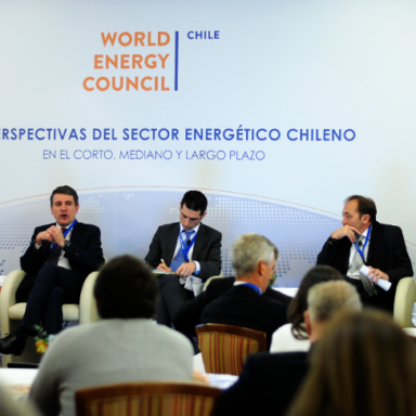 World Energy Council (WEC)